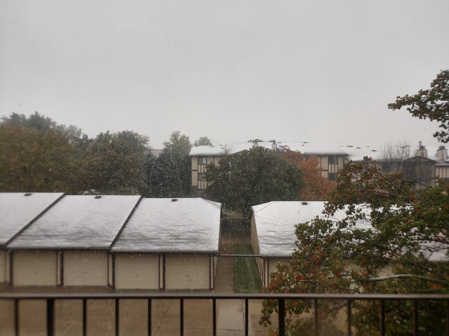 Snow, 10/14
